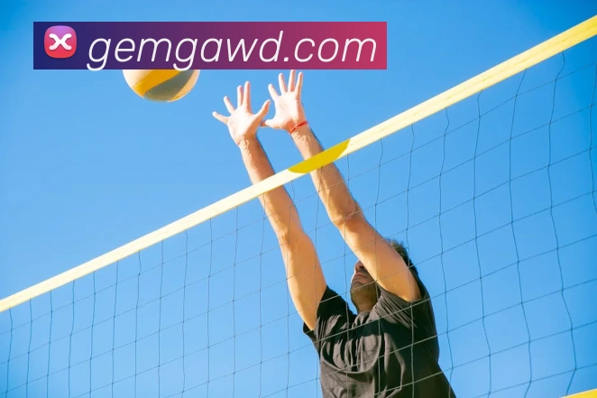 问鼎官网入口APP 体育赛事宣传图